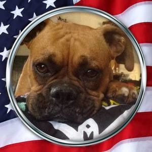 Meet your Posher, Sue